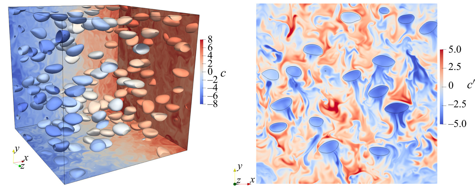 Assessing passive scalar dynamics in bubble-induced turbulence using direct numerical simulations by Hidman et al, 2023