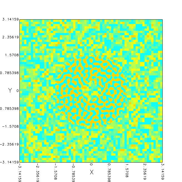 Initialized field