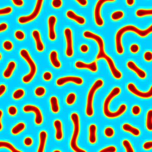 This plot shows the spatial distribution of C1 at the final simulated time step.